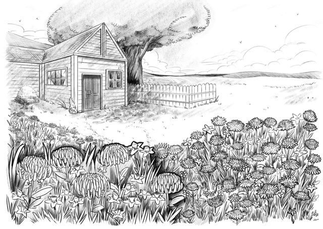 flower field final