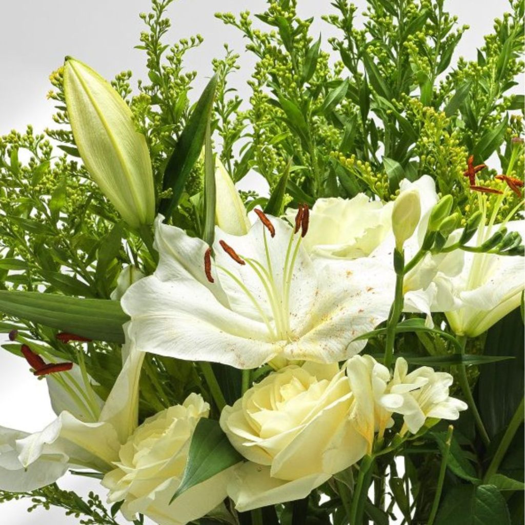white wonders