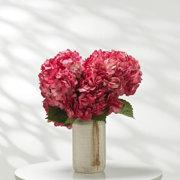 Rosy Delight