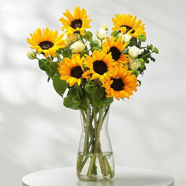 Sunny Radiance